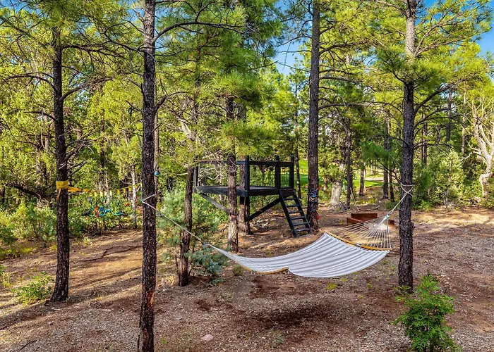 The Tree House